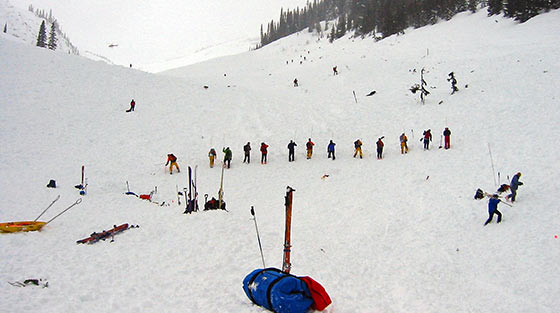 Colour photograph of 18 rescuers in search line probing the avalanche debris for victims on mountain slope. 